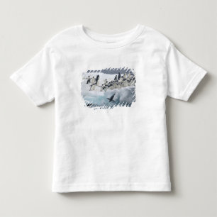 T-shirt Pour Les Tous Petits Antarctique, île Paulet. Manchots Adélie