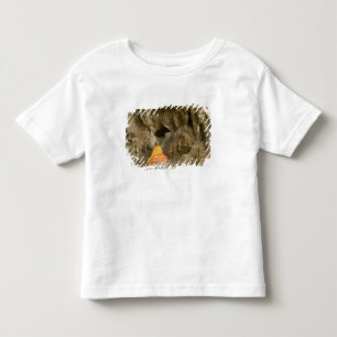 T-shirt Pour Les Tous Petits Asie, Thaïlande, Mae Hong Son, Images de Bouddha