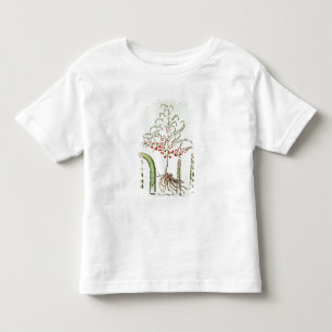 T-shirt Pour Les Tous Petits Asperge commune en fleur et fruit, de 'Ho