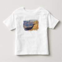 AZ, Arizona, parc national du Grand Canyon, Sud 3