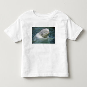 T-shirt Pour Les Tous Petits Béluga, Delphinapterus leucas)