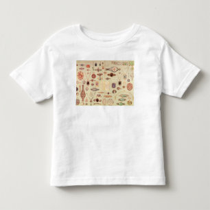 T-shirt Pour Les Tous Petits Bijoux du "catalogue de Tiffany", 1890