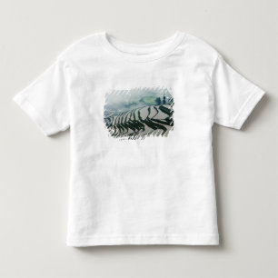 T-shirt Pour Les Tous Petits Brouillard de matin au-dessus des gisements de riz
