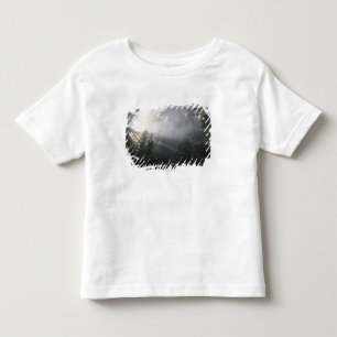 T-shirt Pour Les Tous Petits Brouillard et faisceaux de Sun dans une forêt de
