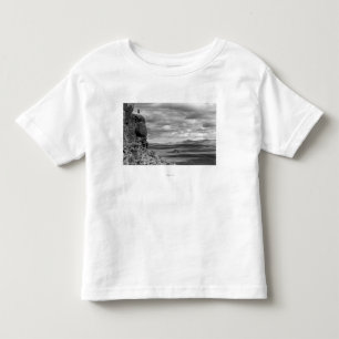T-shirt Pour Les Tous Petits Brûlures, vue de l'Orégon de la photographie de