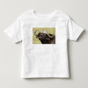 T-shirt Pour Les Tous Petits Buffle d'Afrique, Syncerus caffer