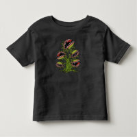 Cadeaux Plantes carnivores Monster Vénus Piège Vol