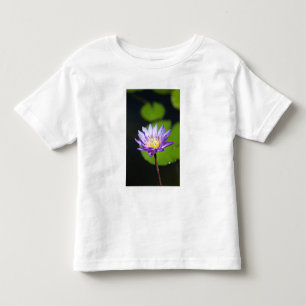 T-shirt Pour Les Tous Petits Cancun, Mexique
