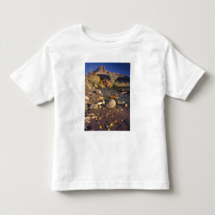 T-shirt Pour Les Tous Petits CAPITOL REEF NATIONAL PARK, UT, États-Unis, Cotton