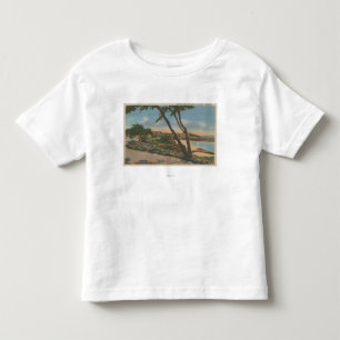 T-shirt Pour Les Tous Petits Carmel, CA - maisons le long de la vue de rivage