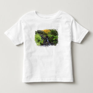 T-shirt Pour Les Tous Petits Cascade brouillée de roche, arbres verts et