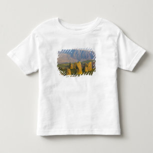 T-shirt Pour Les Tous Petits Cercle de pierres de Castlerigg, Lake District, Cu