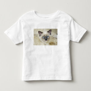 T-shirt Pour Les Tous Petits chaton Ragdoll