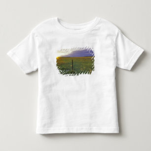 T-shirt Pour Les Tous Petits Clôture en fil de fer barbelé dans le nord-est du