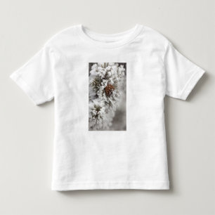 T-shirt Pour Les Tous Petits Cône de pin de Lodgepole en hiver dans Yellowston