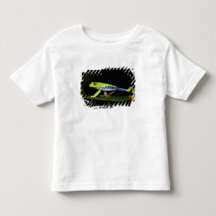 T-shirt Pour Les Tous Petits Costa Rica, Grenouille aux yeux rouges (Agalychnis