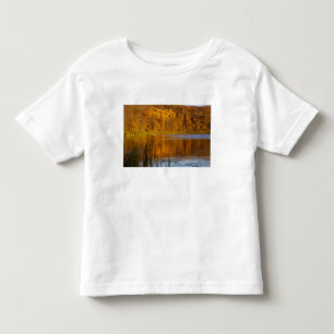T-shirt Pour Les Tous Petits Couleurs d'automne dans le parc d'État de Maplewoo
