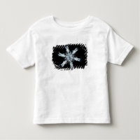 Cristal stellaire de neige