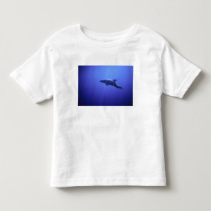 T-shirt Pour Les Tous Petits Dauphin