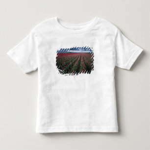 T-shirt Pour Les Tous Petits Des tulipes roses et rouges brillantes resplendiss