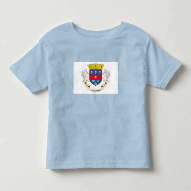 T-shirt Pour Les Tous Petits Drapeau de Saint-Barthélemy (Devant)