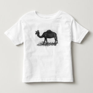 T-shirt Pour Les Tous Petits Dromadaire, de 'Historial Animalium