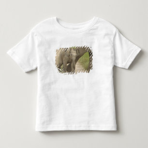 T-shirt Pour Les Tous Petits Éléphant indien / asiatique et jeune, Corbett 2