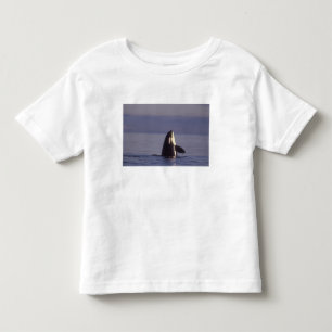 T-shirt Pour Les Tous Petits Épaulard émergeant (Orque orcinus) près