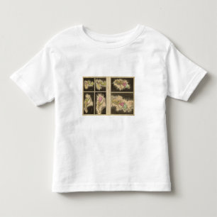 T-shirt Pour Les Tous Petits Ère chrétienne 1921