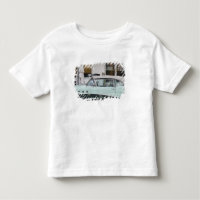 États-Unis, Floride, Miami Beach : South Beach, 19