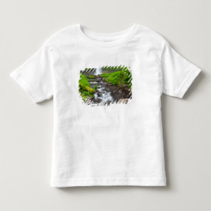 T-shirt Pour Les Tous Petits États-Unis, Oregon, Columbia River Gorge, Latourel