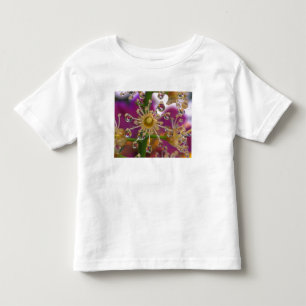 T-shirt Pour Les Tous Petits États-Unis, Oregon, Portland. Fleurs de cosmos se