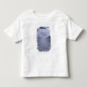 T-shirt Pour Les Tous Petits États-Unis, Tennessee. Great Smokey Mountains Nati