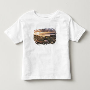 T-shirt Pour Les Tous Petits États-Unis, Washington, îles San Juan. Un dramati