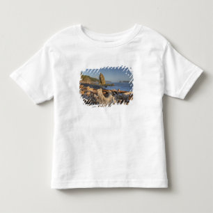 T-shirt Pour Les Tous Petits États-Unis, Washington, Parc national Olympique, R