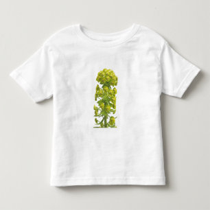 T-shirt Pour Les Tous Petits Euphorbe
