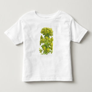 T-shirt Pour Les Tous Petits Euphorbe