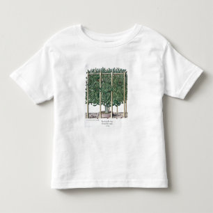 T-shirt Pour Les Tous Petits Eystettensis indica de Ficus, du 'Hortus Eystet
