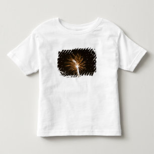 T-shirt Pour Les Tous Petits Feu d'artifice sur la rivière Savannah