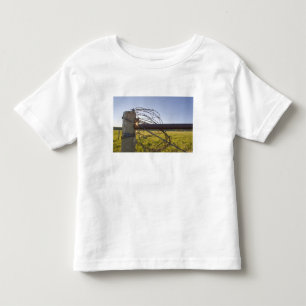 T-shirt Pour Les Tous Petits Fil de fer barbelé enroulé sur une rangée de clôtu