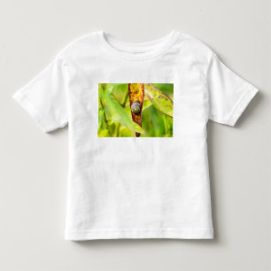 T-shirt Pour Les Tous Petits fixation calme