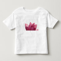 fleur de lotus [Nelumbio speciosum] en pleine