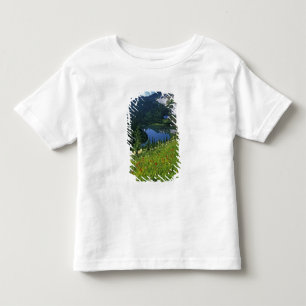 T-shirt Pour Les Tous Petits Fleurs alpines dans le Jewel Basin dans la