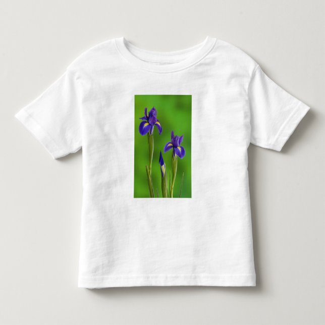 T-shirt Pour Les Tous Petits Fleurs d'iris (Devant)