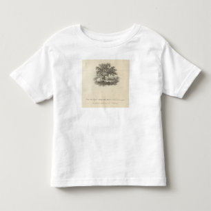 T-shirt Pour Les Tous Petits Formez dans quel William Penn