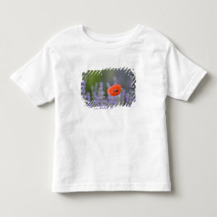 T-shirt Pour Les Tous Petits France, Provence. Coquelicot solitaire dans un cha