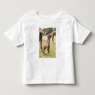 T-shirt Pour Les Tous Petits Girafes maasaï, Giraffa camelopardalis 2