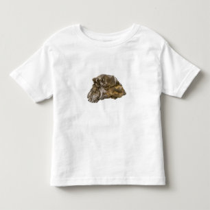 T-shirt Pour Les Tous Petits Graphite, Danville, Vermont, Etats-Unis