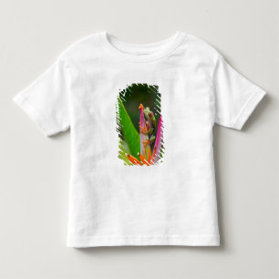 T-shirt Pour Les Tous Petits Grenouille aux yeux rouges, Costa Rica