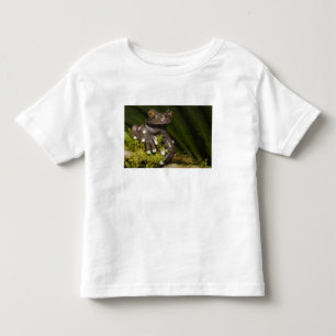 T-shirt Pour Les Tous Petits Grenouille captive de Tapichalaca Hyloscirtus 3